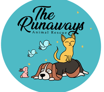 Runaways Animal Rescue