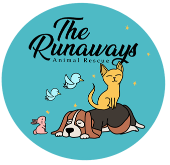 Runaways Animal Rescue