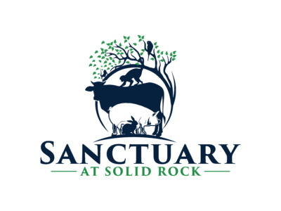 Sanctuary at Solid Rock