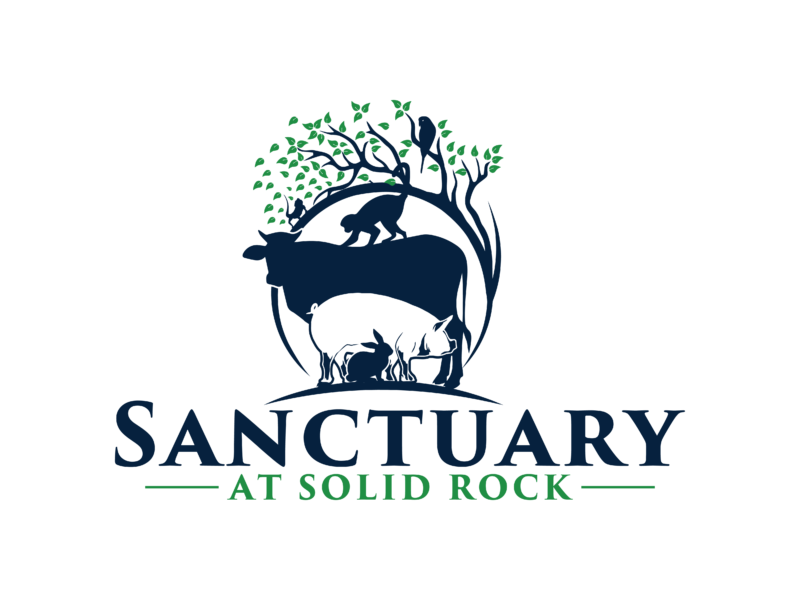 Sanctuary at Solid Rock